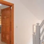 Toro 2 Corralejo